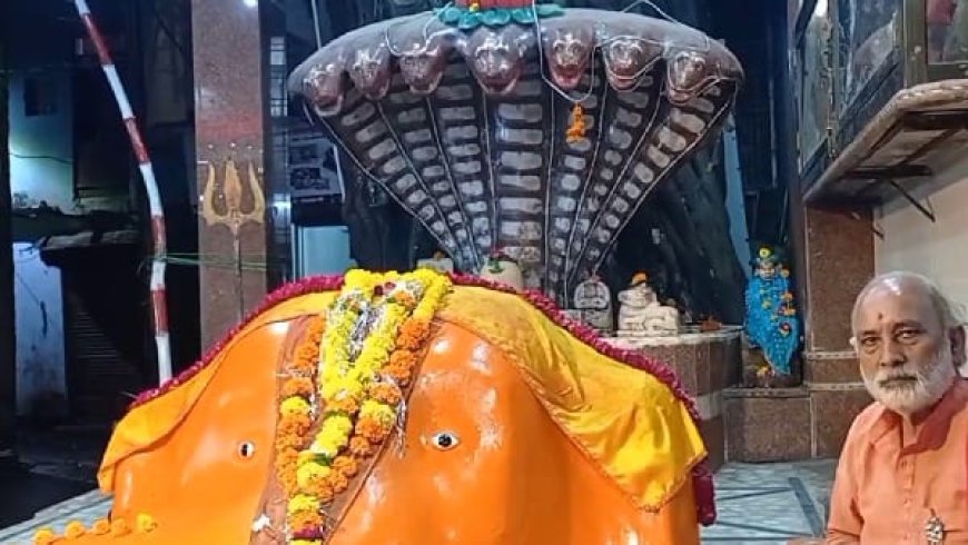 शेषनाग गणेश मंदिर में भगवान गणेश ने विसर्जन से किया इंकार 