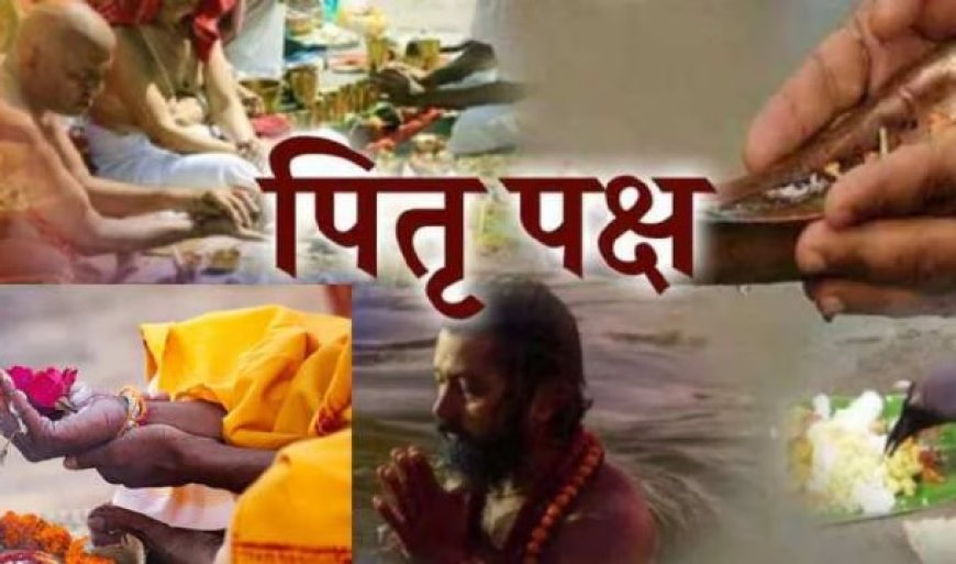 पितृ पक्ष में घर के द्वार पर आए जानवरों का न करें अपमान 